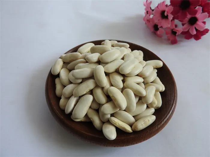 Organic White Kidney Beans