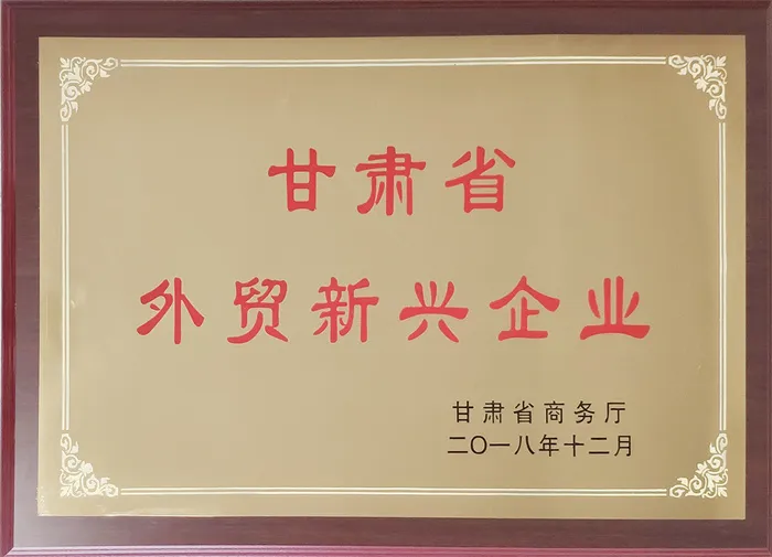 外贸新兴企业