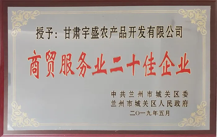 二十佳企业
