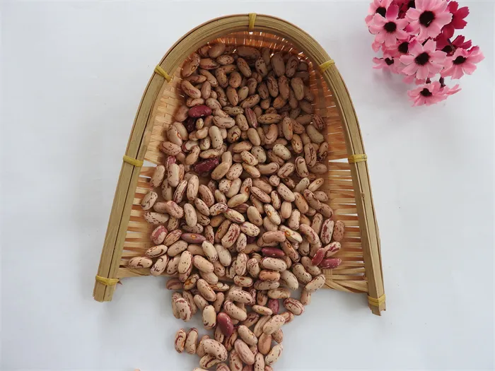 Organic Light Speckled Kidney Beans