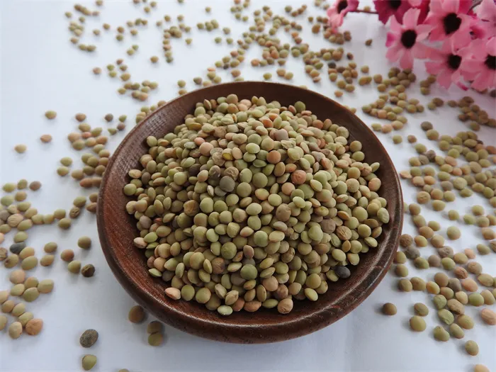Organic Lentils