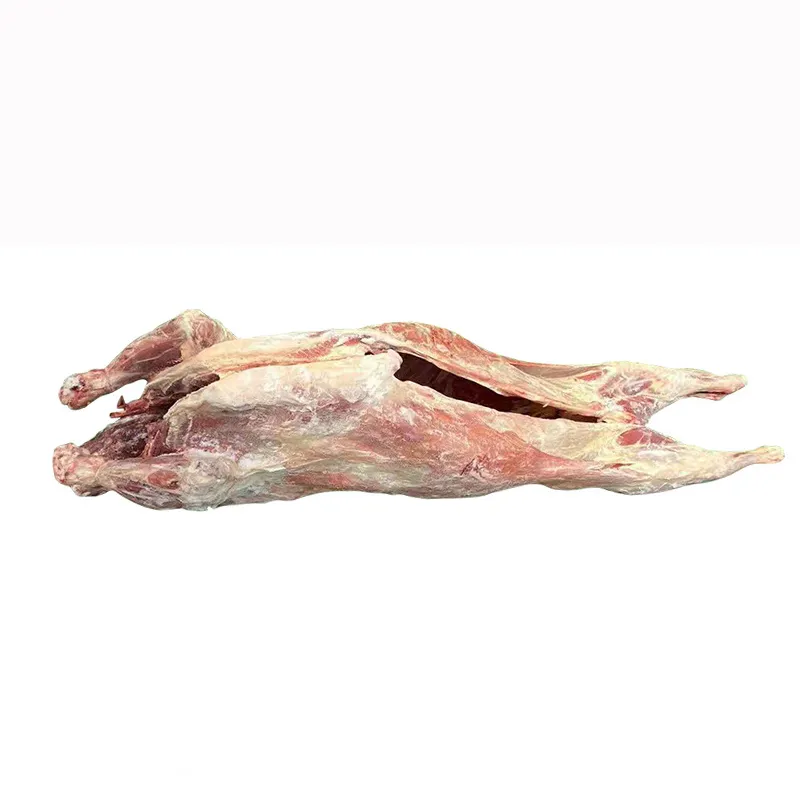 OVINE KETONE BODY